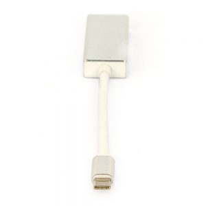 Cabo Adaptador USB-C para Displayport - Prata